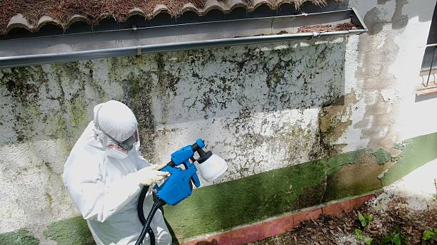 Top rated local Commercial Mold Remediation specialists in Grantsville, MD